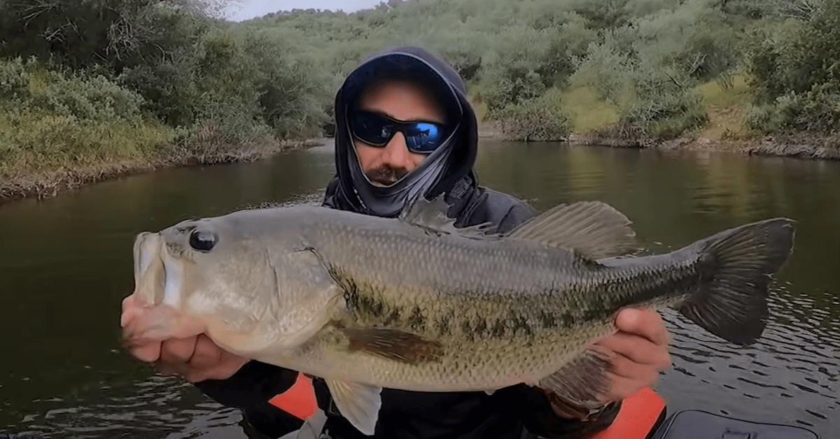 Mejores sitios para pescar black bass en Madrid