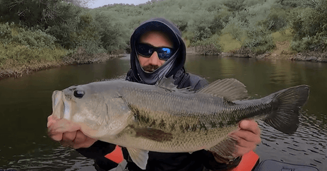 Mejores sitios para pescar black bass en Madrid
